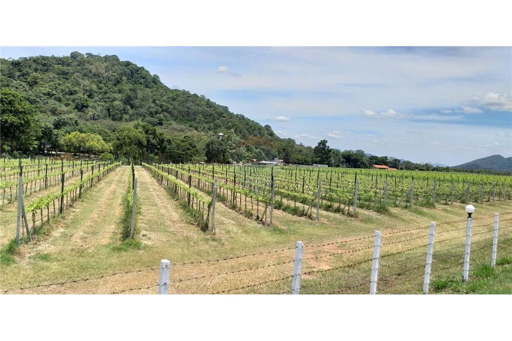 Nakhon Ratchasima Korat House for Sale & House for Rent Condo for